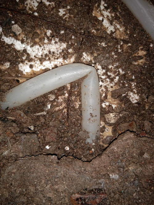 献县堵点精准查找